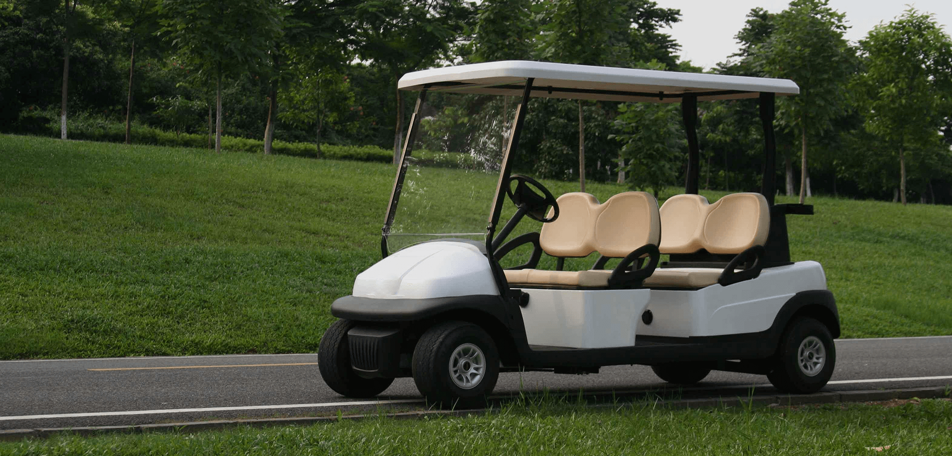 電動休閑與觀光車輛